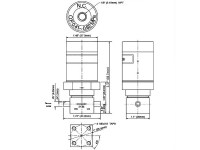 DV-S-tt-LPP-NC2